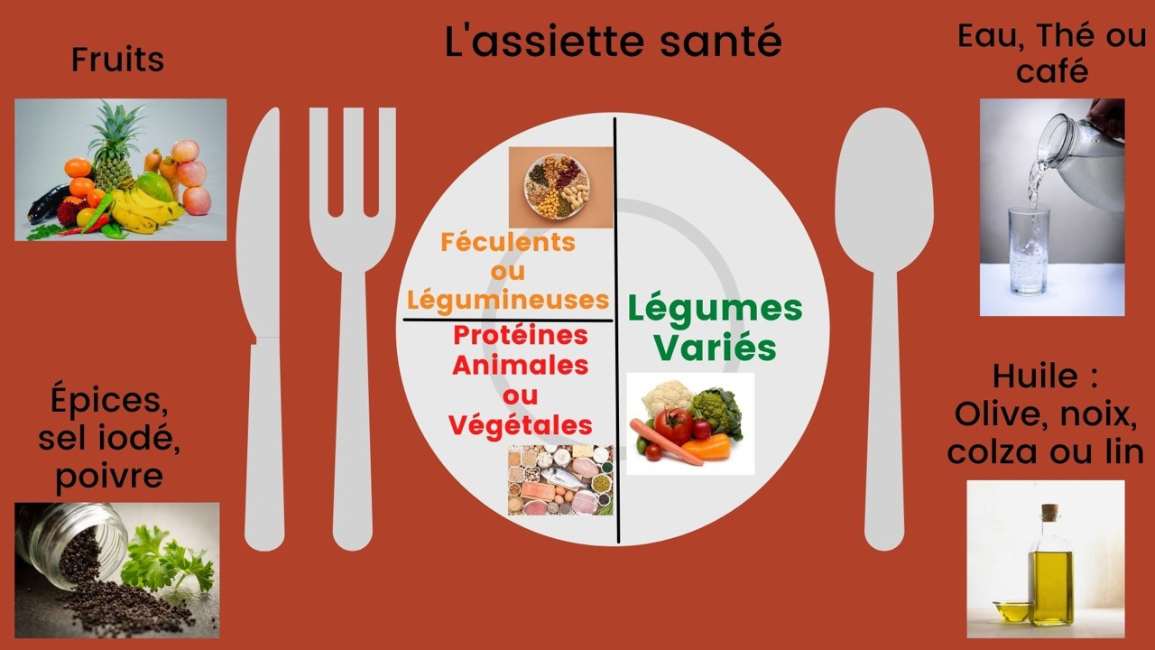 les aliments pour une assiette santé L'assiette pour une alimentation équilibrée