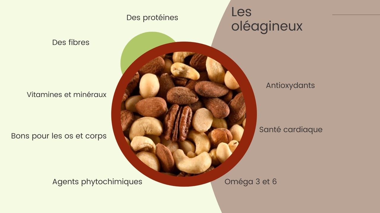 Les Oléagineux