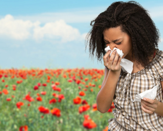 Comment lutter contre les allergies saisonnières ?