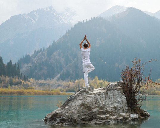 Asana Vrikshasana, : la posture de l'arbre