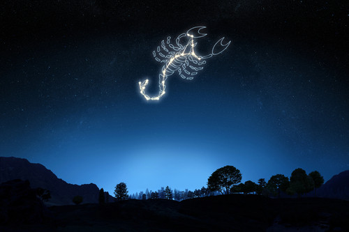 Vrishchika, signe vedique du scorpion