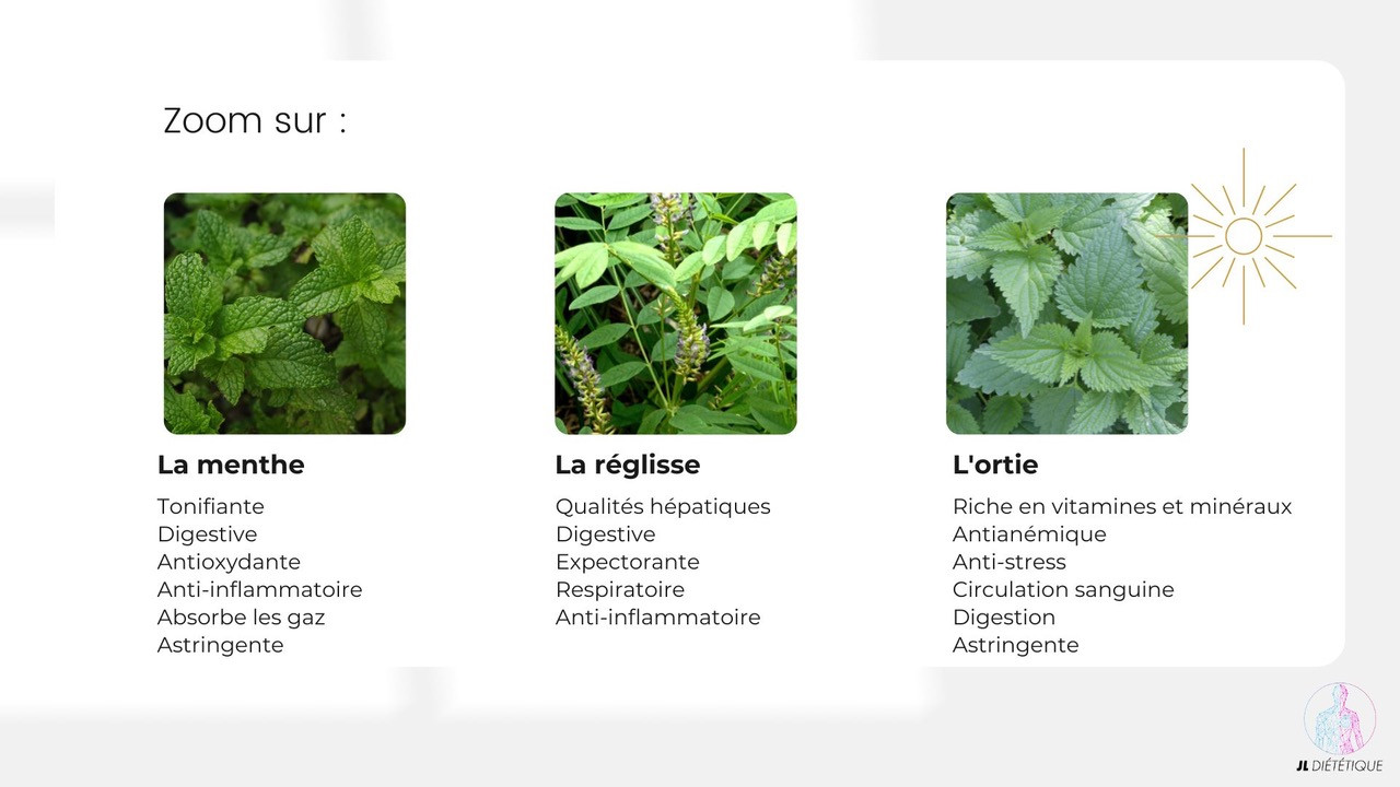 Les plantes pour les doshas