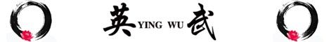 Ying Wu