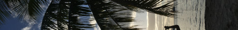 Yo Garonne
