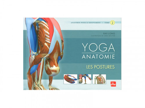 Yoga Anatomie