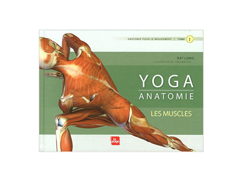 Item Yoga Anatomie Les Muscles